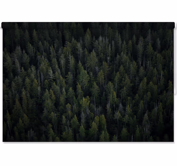 Tree blind with deep woodland texture - TenStickers