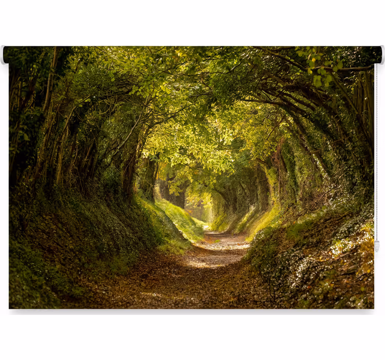 Tree blind immersive forest mural - TenStickers