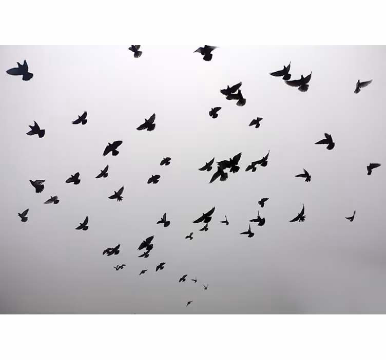 White window blind with a serene bird design - TenStickers
