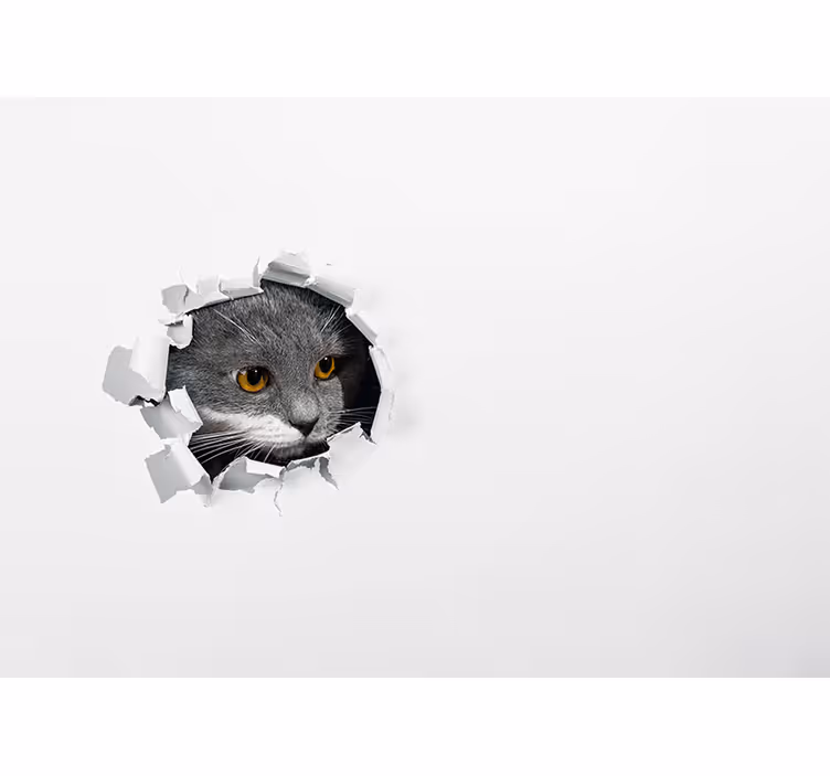 White window blind with adorable kitten design - TenStickers