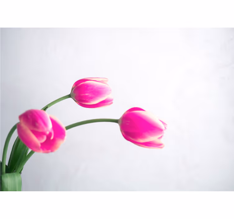 White window blind featuring three tulips design - TenStickers