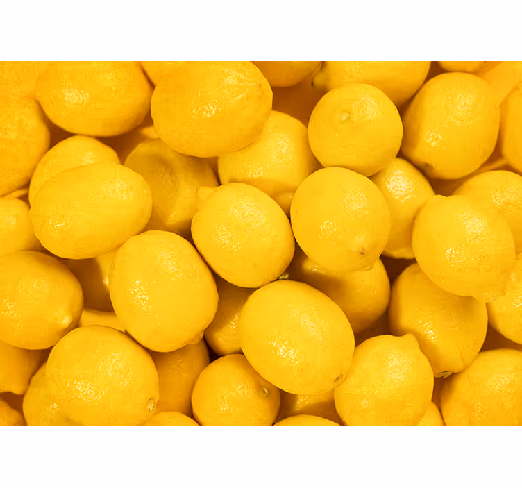 Blind yellow citrus lemons - TenStickers