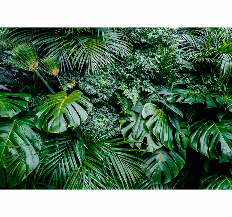 Blind green tropical rainforest - TenStickers