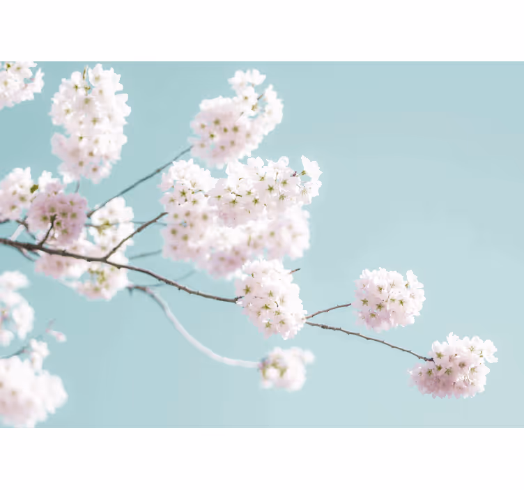 Living room blind with elegant feminine white floral design - TenStickers