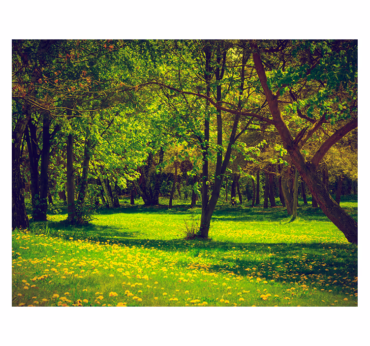 Living room blind with serene forest view - TenStickers