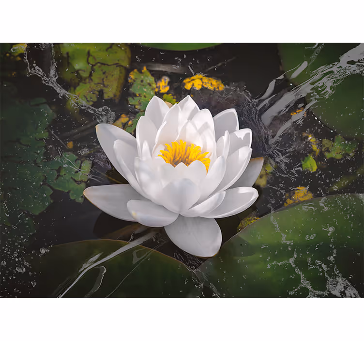 Living room blind white and yellow lotus - TenStickers