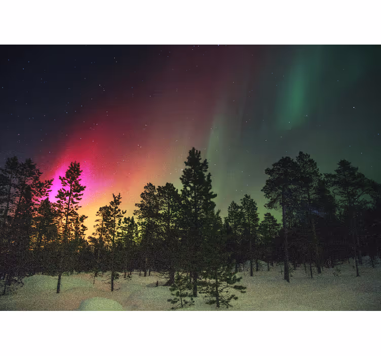 Living room blind northern lights above trees - TenStickers