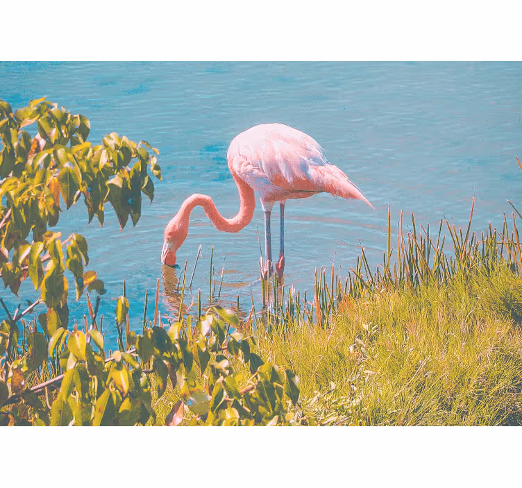 Living room blind with a beautiful flamingo by water - TenStickers