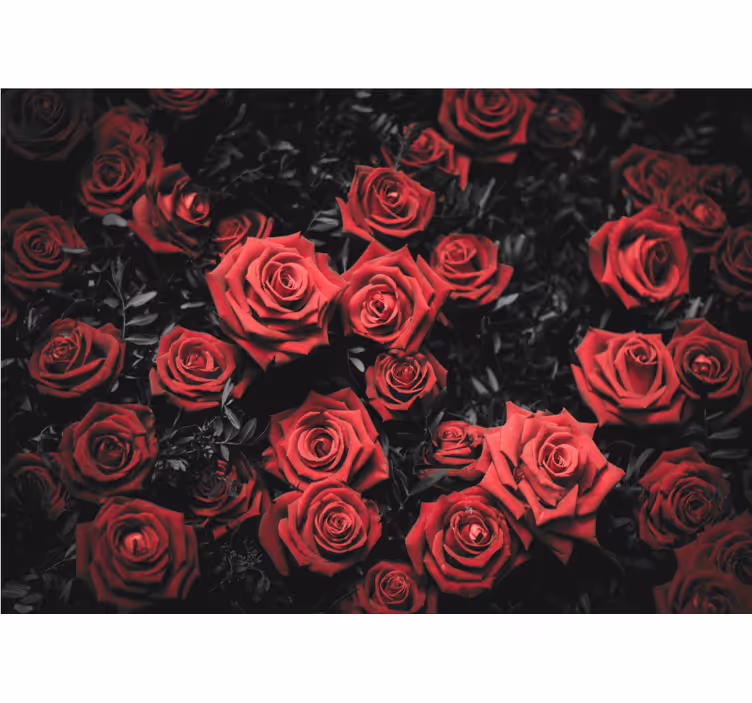 Living room blind black and white with red roses - TenStickers