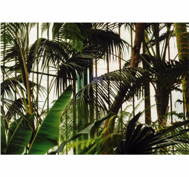 Living room blind with green wall plants - TenStickers