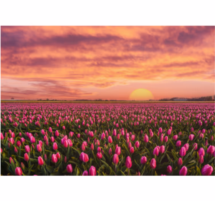 Living room blind sunrise and tulips design - TenStickers