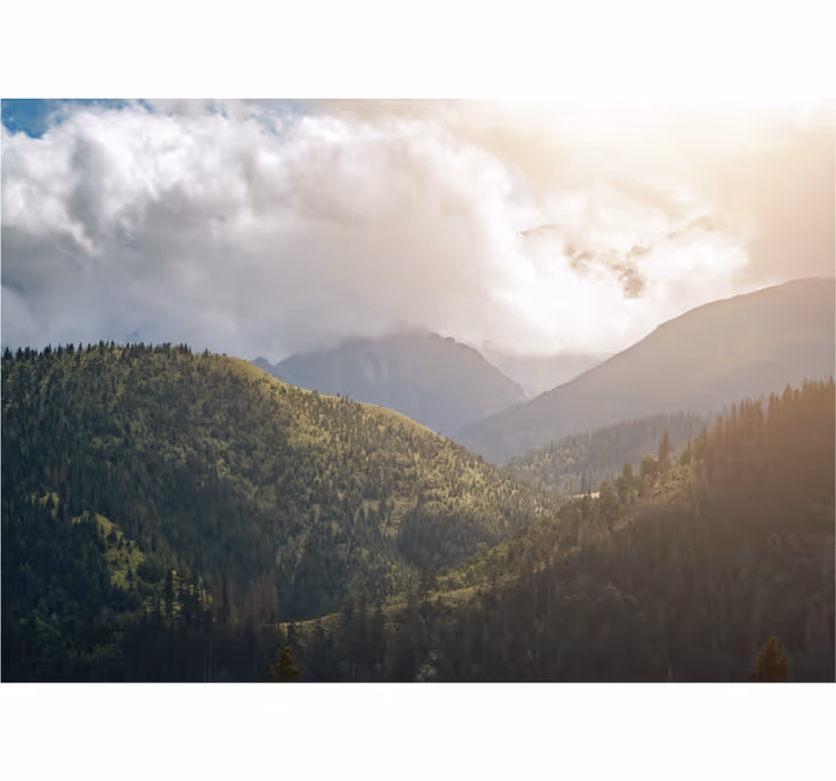 Living room blind tatra national park style - TenStickers