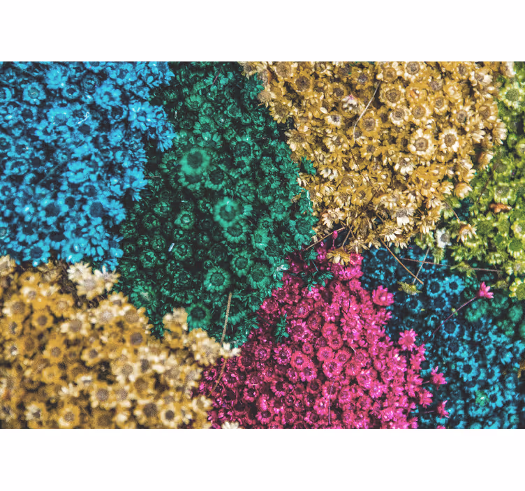 Living room blind rainbow daisies - TenStickers