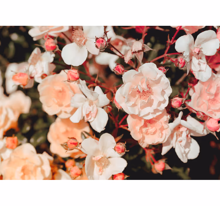 Living room blind abundant with flowers - TenStickers