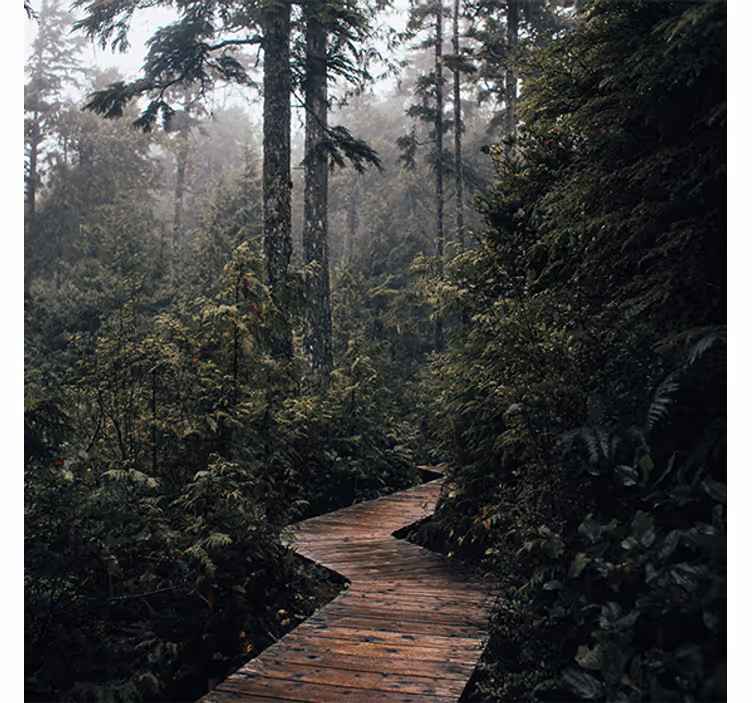 Living room blind nature path in the forest - TenStickers