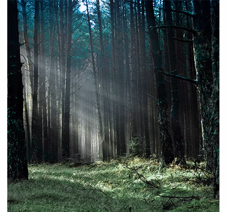 Living room blind in nature blue fog forest - TenStickers