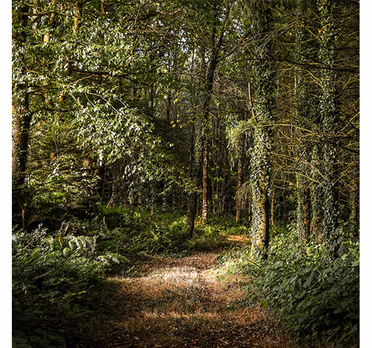 Living room blind nature leafy path design - TenStickers