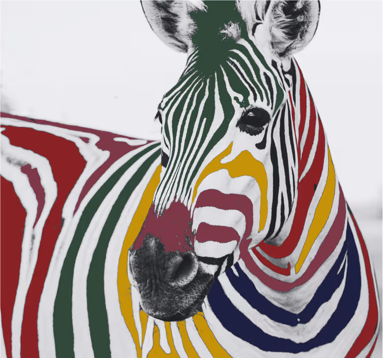 Living room blind with colorful zebra art - TenStickers