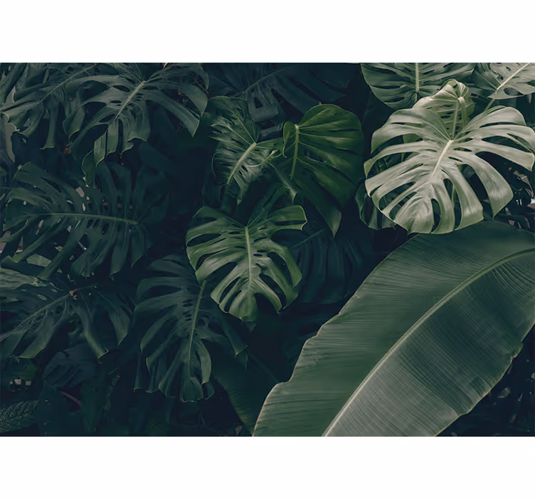 Living room blind in beautiful green jungle forest - TenStickers