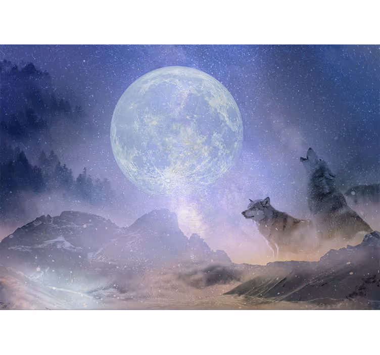 Living room blind wolf couple gazing at stars - TenStickers