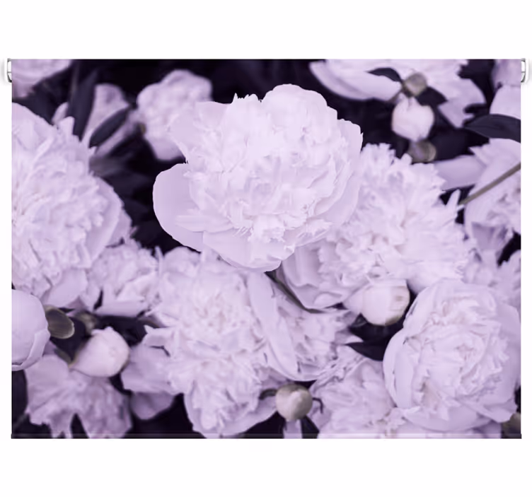 Living room blind with elegant feminine pink peonies - TenStickers
