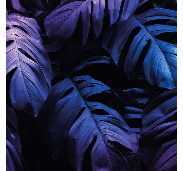 Living room blind neon exotic leaf design - TenStickers