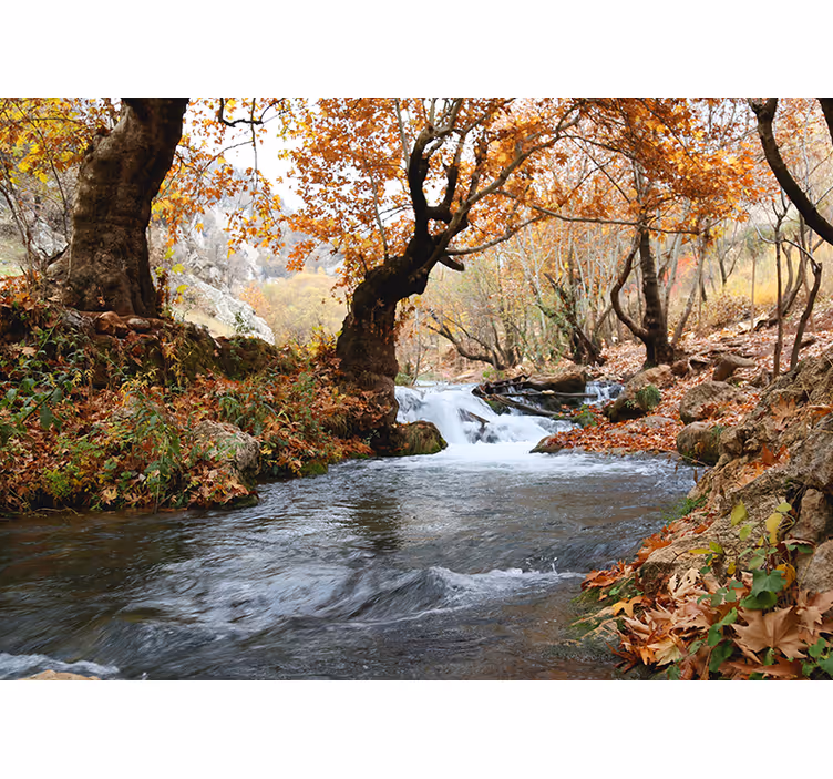 Blind bedroom flowing water in autumn forest - TenStickers