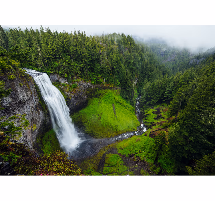 Blind bedroom peaceful waterfall in green forest - TenStickers
