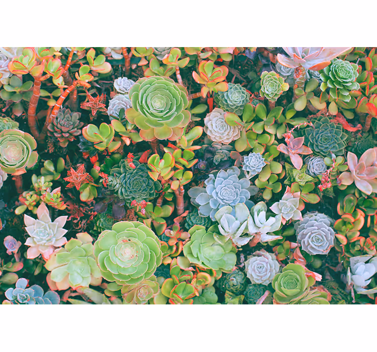 Blind bedroom multicolor tropical thin leaves - TenStickers