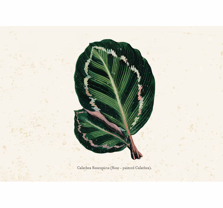 Blind bedroom with green red maranta leaves - TenStickers