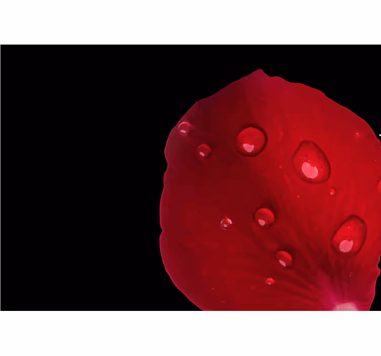 Blind bedroom with red rose pattern and water drops - TenStickers