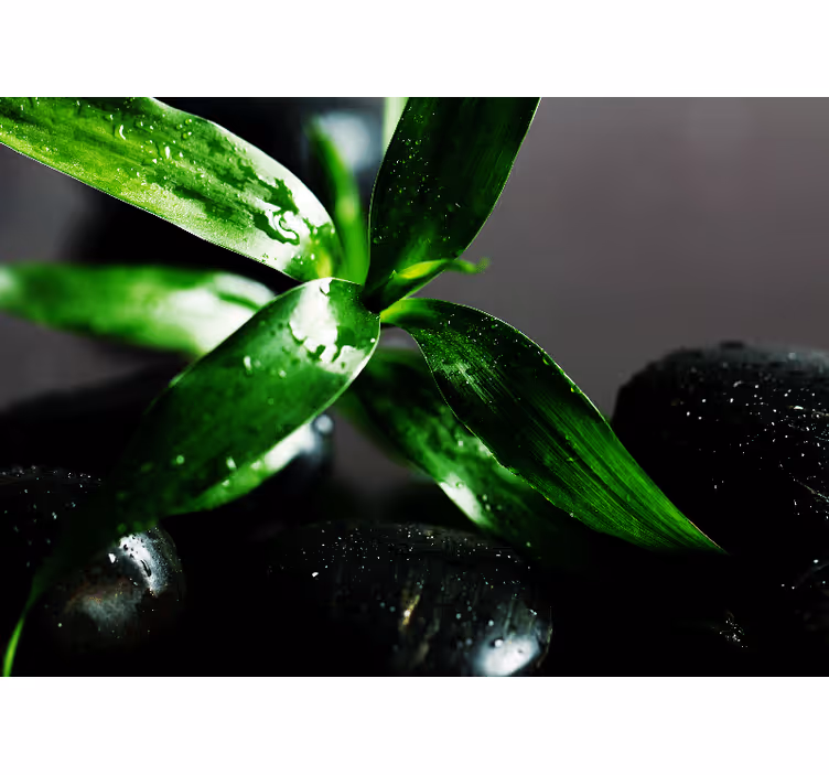 Blind bedroom zen black stones on water - TenStickers