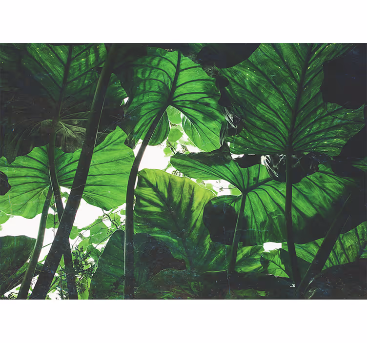 Blind bedroom with beautiful green rainforest design - TenStickers