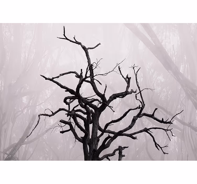 Blind bedroom with natural forest branches in fog - TenStickers