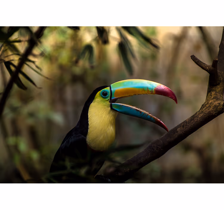 Blind bedroom tucan in jungle design - TenStickers