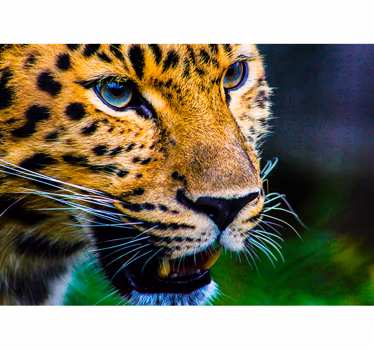 Blind bedroom leopard face design - TenStickers