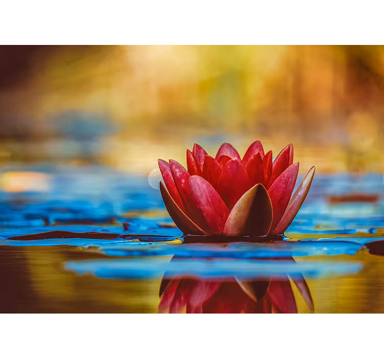 Blind bedroom zen reflected lotus flower - TenStickers