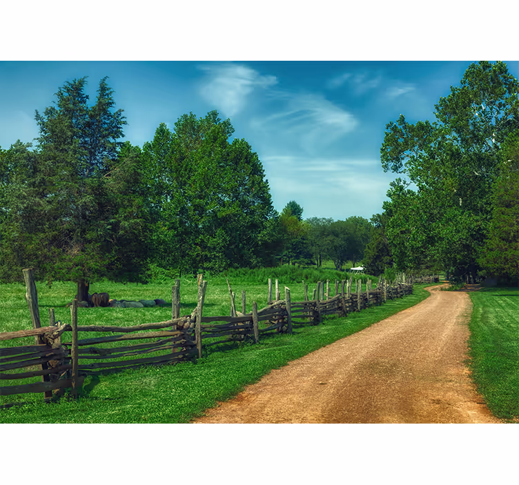 Living room blind summer green forest path - TenStickers