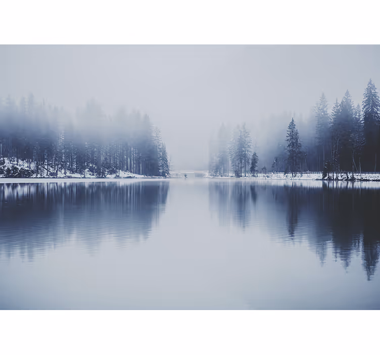 White window blind winter foggy forest - TenStickers