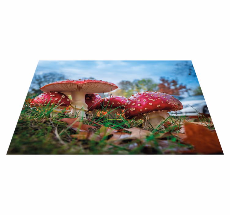 Modern placemats mushroom culinary design - TenStickers