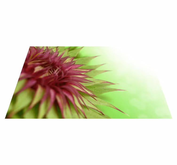 ThistleThistle is a prickly flowering plant of the daisy family.  - TenStickers