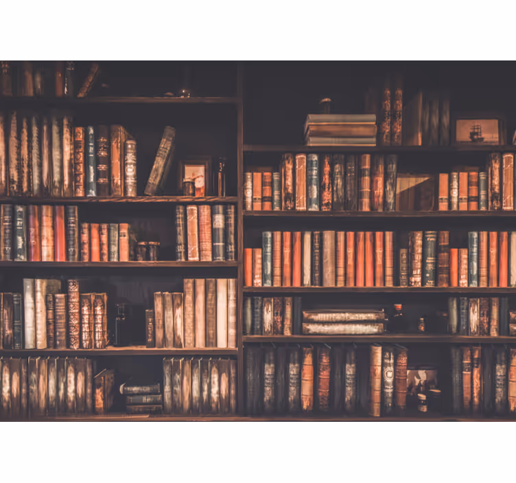 Vintage BookShelf wall mural - TenStickers