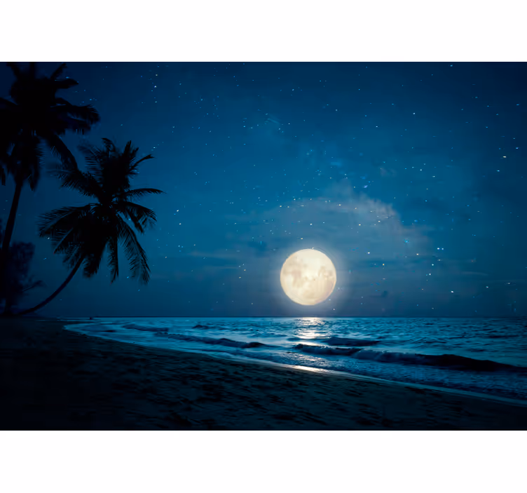 Moonlit Ocean Scene wall mural nature - TenStickers