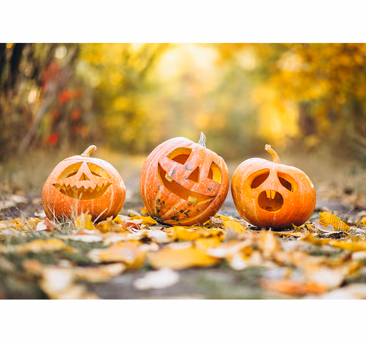 Carved Pumpkin Faces wall mural halloween - TenStickers