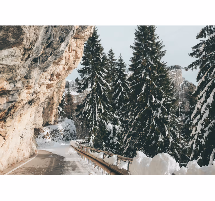 Winter Pine Scenery landscape wall mural - TenStickers