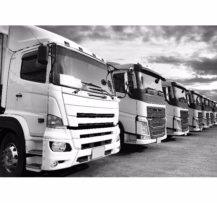 Wall mural vehicle trucks lineup - TenStickers