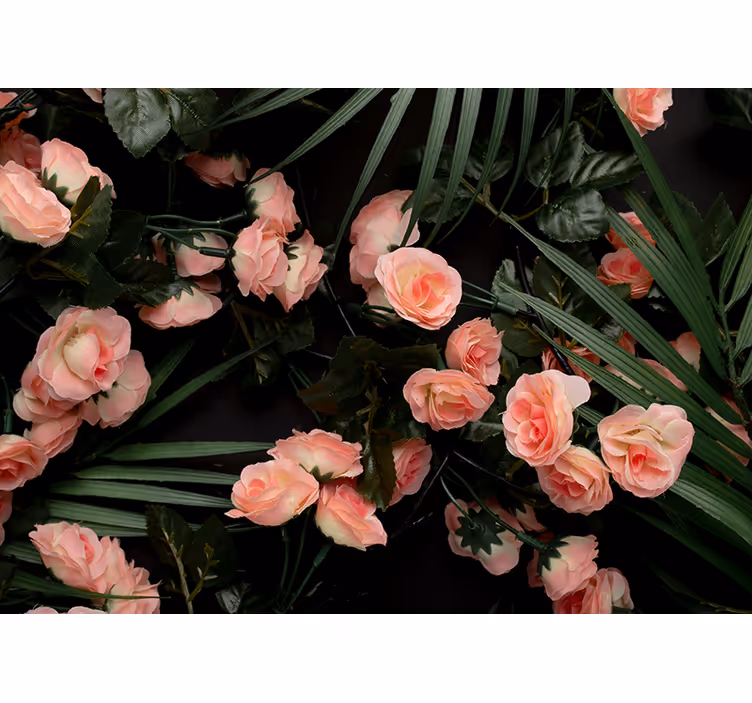 Flower wall mural soft pink roses - TenStickers
