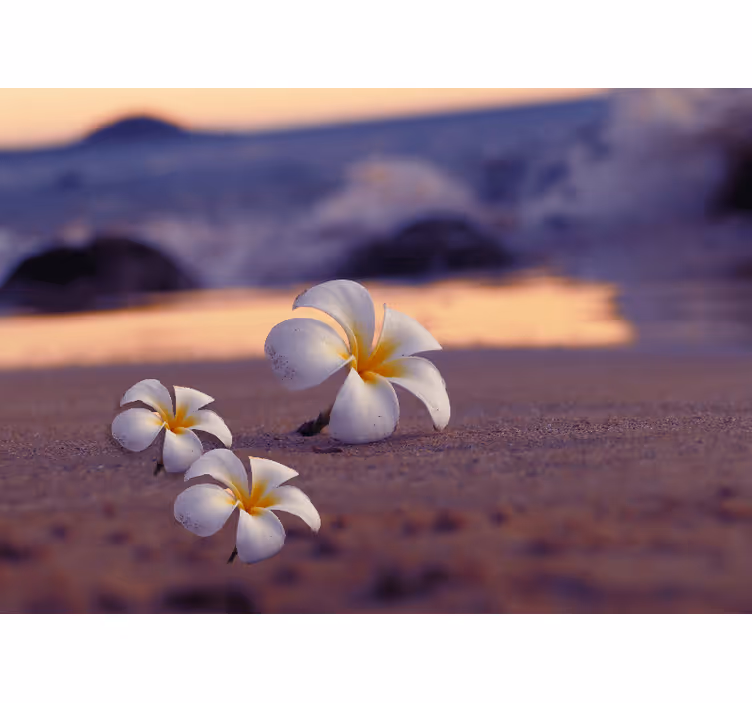 Poppy wall mural tropical flower trio - TenStickers