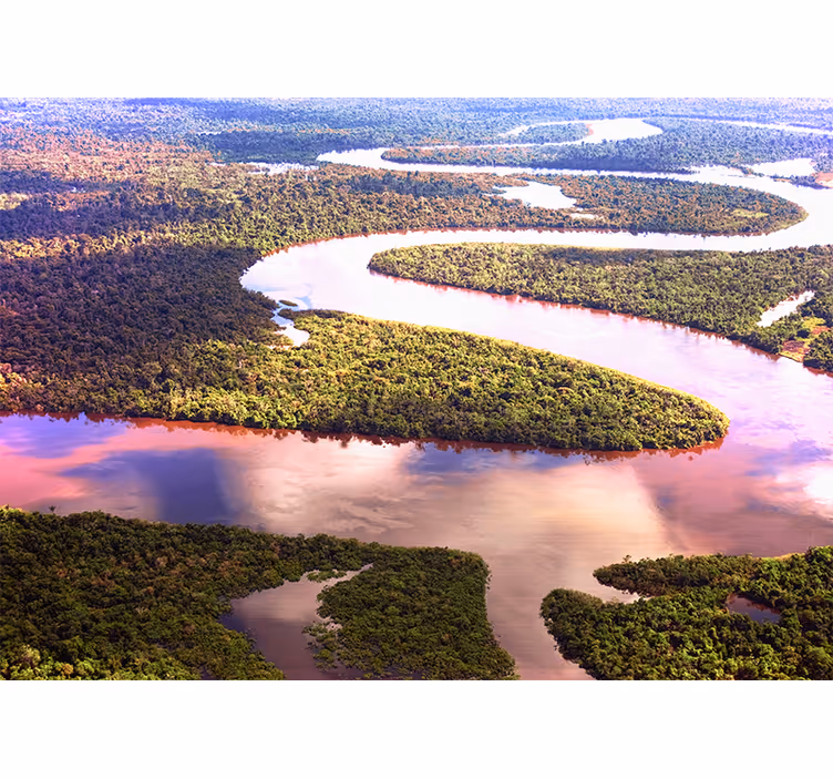 The Amazon river nature wall mural - TenStickers