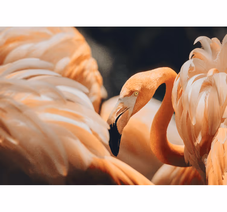 Animals wall mural elegant flamingo scene - TenStickers